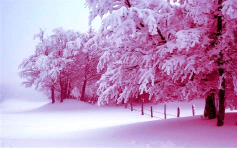 pink snow wallpaper|pink winter desktop backgrounds.